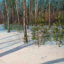 Картина " Берёзки и сосны "